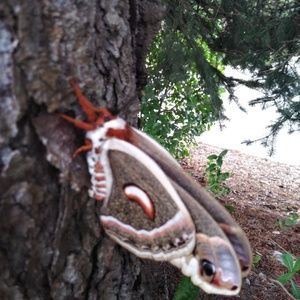 Meet your Posher, Ty